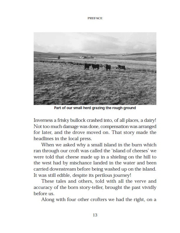 Cattle on a Thousand Hills