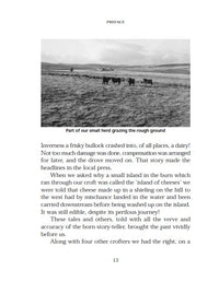 Cattle on a Thousand Hills