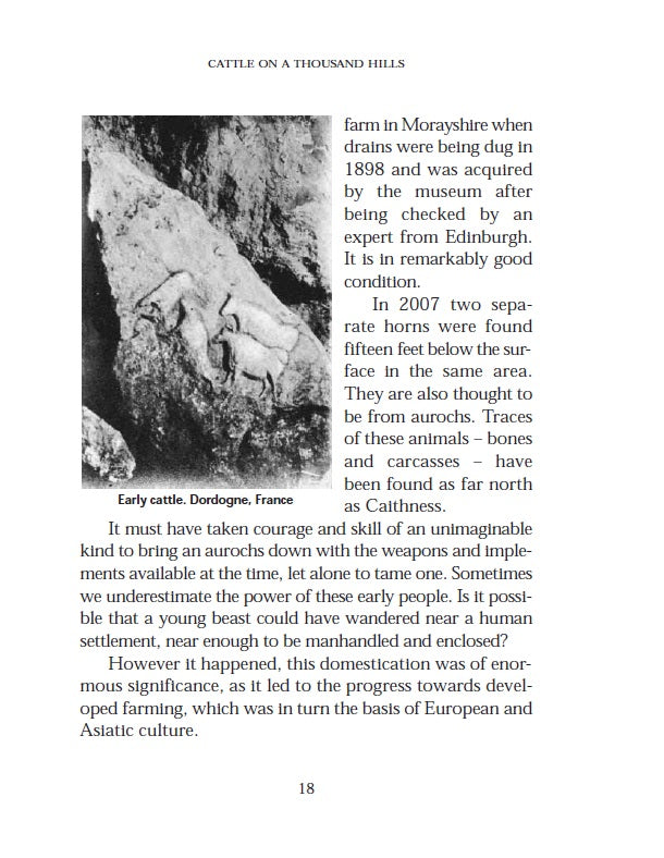 Cattle on a Thousand Hills