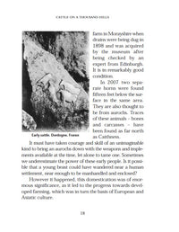 Cattle on a Thousand Hills