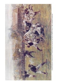 Scottish Rugby