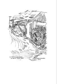 The Road to Meikle Seggie