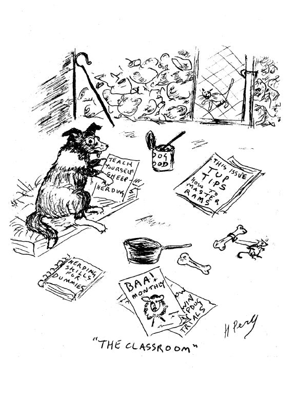 illustration from skirly crag by helen percy