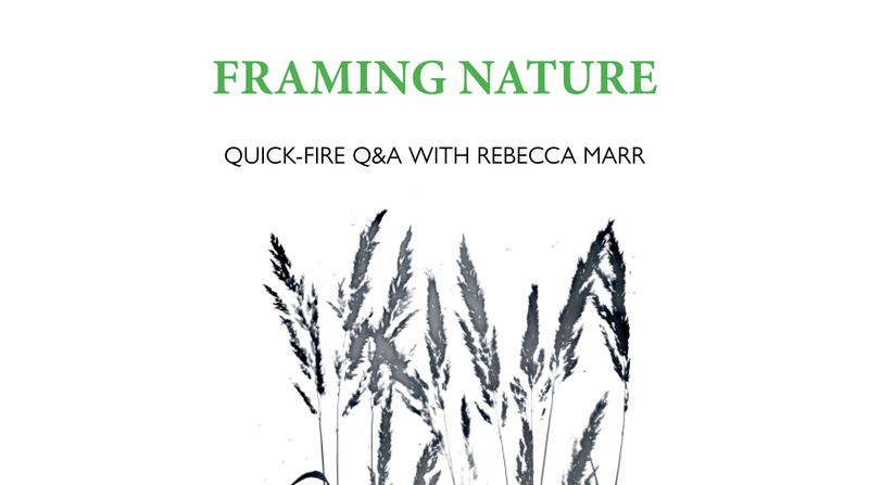 Framing Nature <p> Quick-Fire Q&A with Rebecca Marr </p>