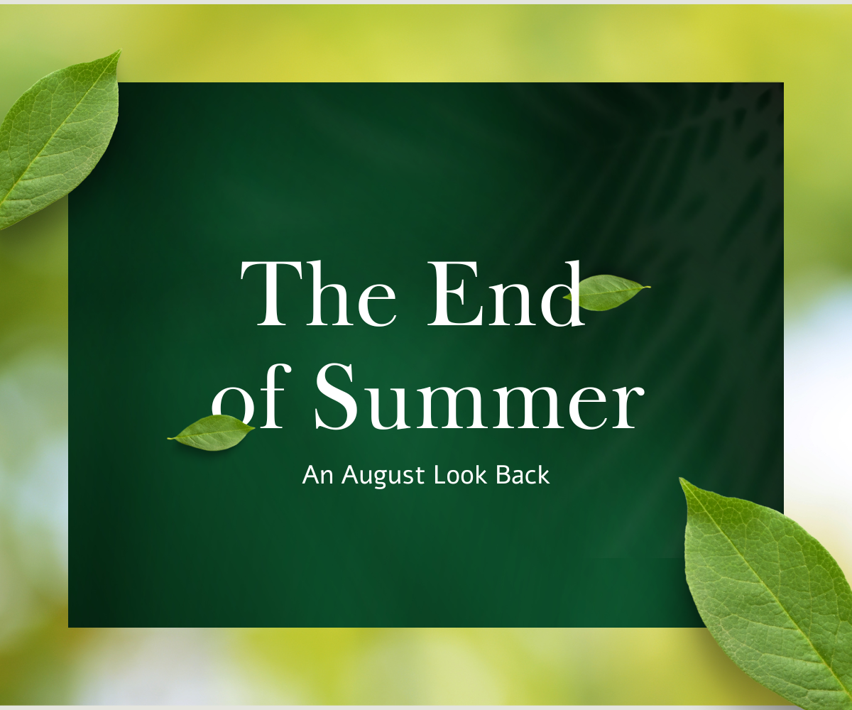 The End of Summer - An August Look Back – Luath Press