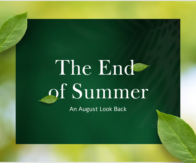 The End of Summer - An August Look Back