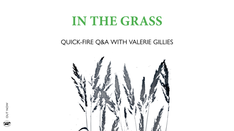 In the grass blog cover