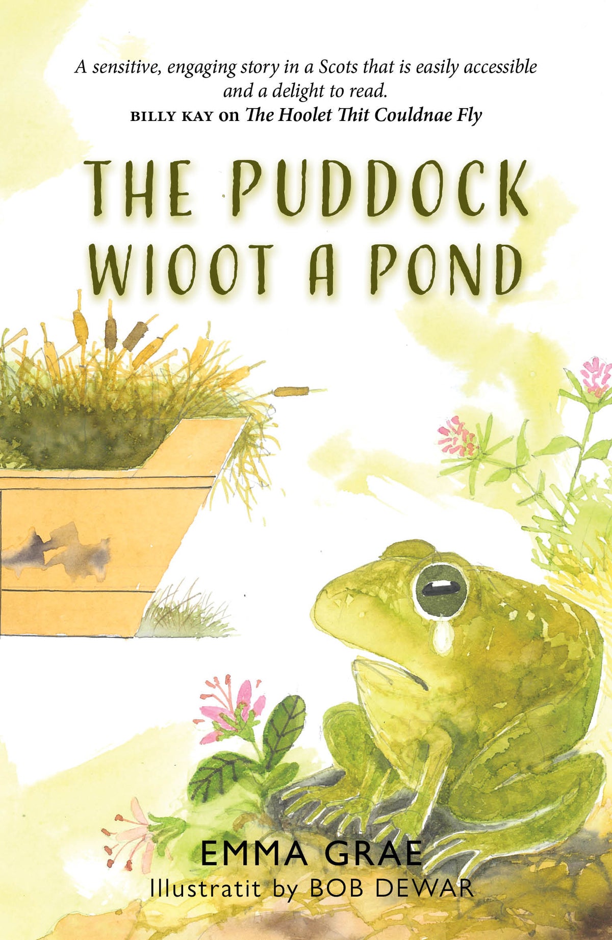 The Puddock Wioot a Pond