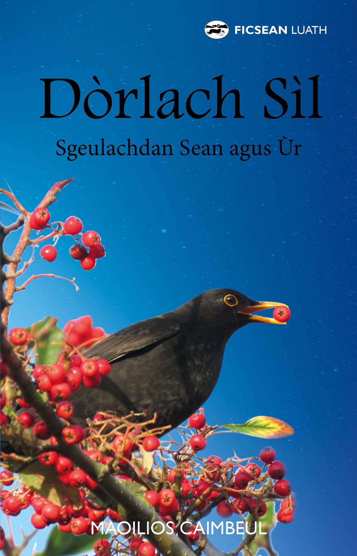 Dòrlach Sìl