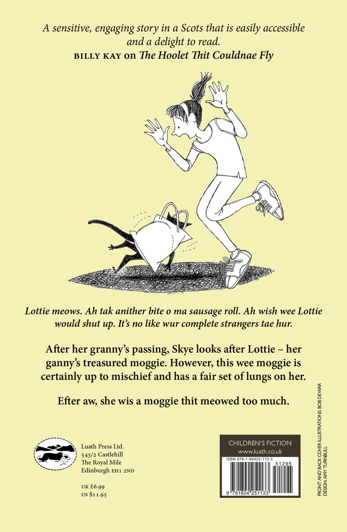 Book back cover with a cartoon illustration of a person running away from a cat, on a yellow background.