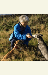 The image shows a woman with gray hair wearing a blue jacket, sitting in a grassy area and interacting with two dogs. One dog is brown, and the other is gray. The setting appears to be outdoors, surrounded by tall grass.