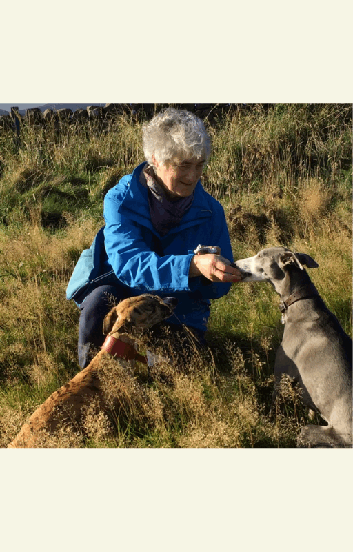 The image shows a woman with gray hair wearing a blue jacket, sitting in a grassy area and interacting with two dogs. One dog is brown, and the other is gray. The setting appears to be outdoors, surrounded by tall grass.