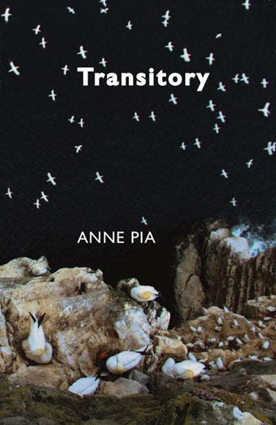 Transitory